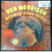 VAN MORRISON Blowin' Your Mind (Simply Vinyl – 492601 S125020) UK 2006 reissue LP of 1967 album
